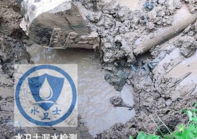 西峡水管漏水检测公司5